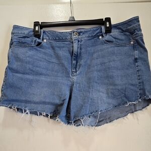 J Jill Women's Blue Denim Shorts